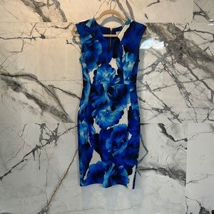 Calvin Klein | Blue White Floral | Sleeveless Dress